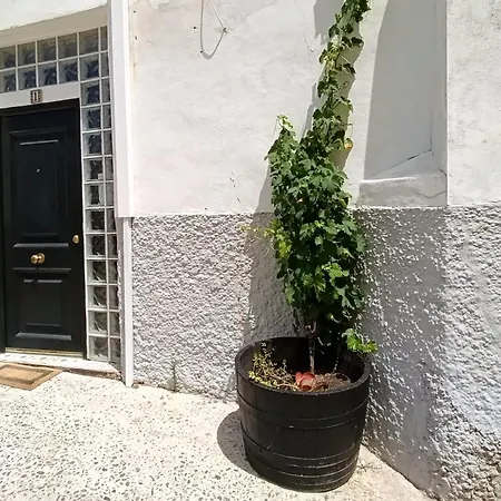 Kala Almendrillo Boutique 아파트
